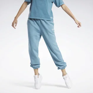 Штани жіночі Reebok Classics Natural Dye Light Blue HS0374