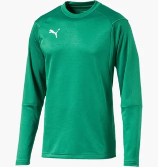 Лонгслив мужской Puma Train Sweat Sn99 Green 655669-05