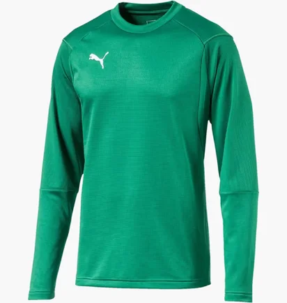 Лонгслив мужской Puma Train Sweat Sn99 Green 655669-05