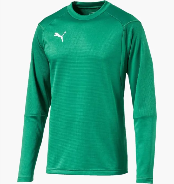 Лонгслив мужской Puma Train Sweat Sn99 Green 655669-05
