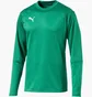 Лонгслив мужской Puma Train Sweat Sn99 Green 655669-05