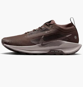 Кросівки жіночі Nike Pegasus Trail 5 Brown FQ0912-012