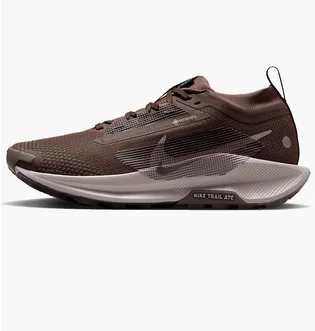 Кроссовки женские Nike Pegasus Trail 5 Brown FQ0912-012