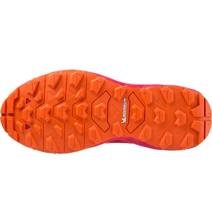 Кроссовки женские Mizuno Wave Daichi 7 Gtx Pink J1GK225672