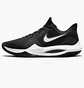 Кросівки унісекс Nike Precision 5 Black CW3403-003
