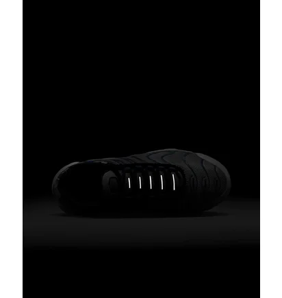 Кросівки дитячі Nike Air Max Plus Grey CD0609-019