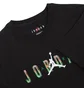 Футболка чоловіча Air Jordan M J Sprt Dna Hbr Ss Crew Black CZ8083-010