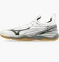 Кроссовки мужские Mizuno Wave Mirage 2.1 White/Grey X1GA1850-09