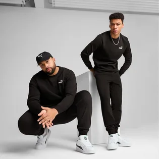 Штани чоловічі Puma Ess No. 1 Logo Sweatpants Black 682606-01