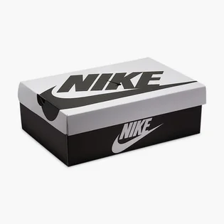 Кросівки чоловічі Nike Dunk Low Retro Se Beige/Black IB2990-100
