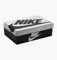 Кроссовки мужские Nike Dunk Low Retro Se Beige/Black IB2990-100
