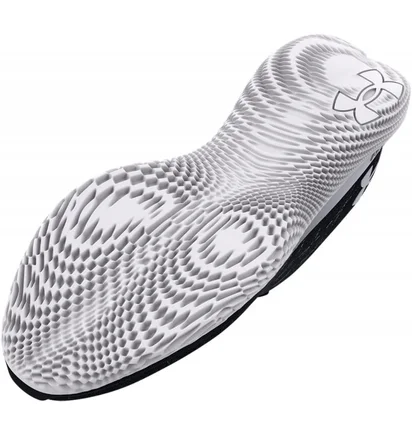 Кроссовки мужские Under Armour Flow Velociti Wind 2 Black 3024903-001
