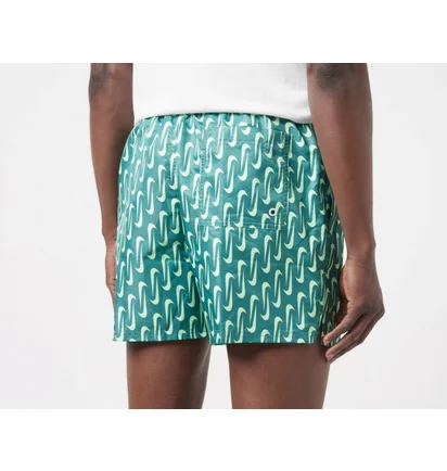 Шорты мужские Nike Swoosh Link 5 & Volley Short Green NESSE520-302