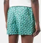 Шорты мужские Nike Swoosh Link 5 & Volley Short Green NESSE520-302
