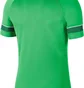 Футболка мужская Nike Academy 21 Dry Ss Tee Green Cw6101-362