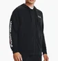 Толстовка мужская Under Armour Rival Fleece Chroma Full Zip Training Hoody Black 1370344-001