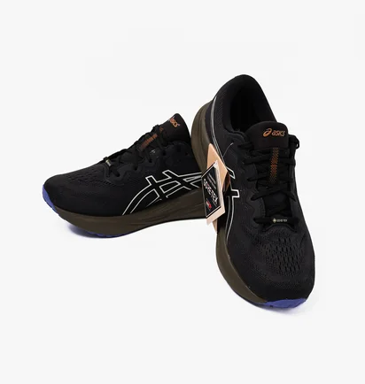 Кросівки чоловічі Asics Gel-Pulse 15 Gtx Black 1011B781-003
