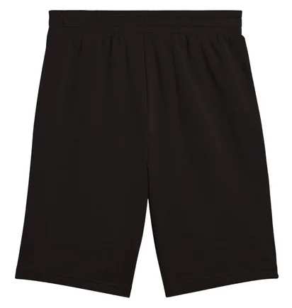Шорти чоловічі Puma Puma Essentials 2 Color Logo Black 684715-01