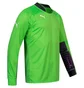 Лонгслив мужской Puma Padded Long-Sleeved Goalkeeper Green 701918-43