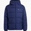 Куртка мужская Adidas Padded Hooded Puffer Jacket Night Sky Blue H13554