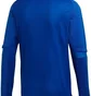 Кофта мужская Adidas Condivo20 Training Top Blue Fs7119