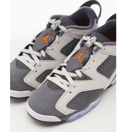 Кросівки чоловічі Air Jordan X Psg 6 Retro Low Light Bone Grey/Violet DZ4133-008