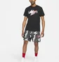 Шорты мужские Air Jordan M J Jumpman Air Msh Aop Short Grey CZ4757-010