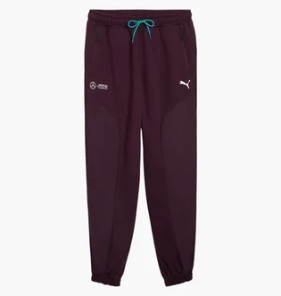 Штаны мужские Puma Mapf1 Statement Violet 627304-08