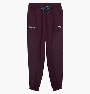 Штаны мужские Puma Mapf1 Statement Violet 627304-08