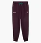 Штаны мужские Puma Mapf1 Statement Violet 627304-08