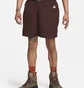 Шорты мужские Nike Acg Trail Shorts Brown CZ6704-227