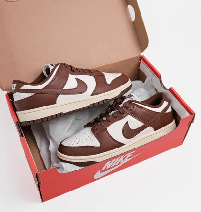 Кросівки жіночі Nike Dunk Low Wmns White/Brown DD1503-124