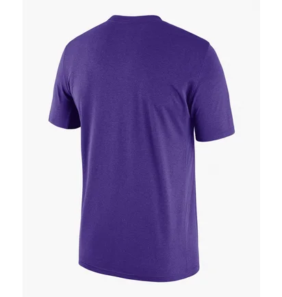 Футболка мужская Nike T-Shirt Dri-Fit Nba Los Angeles Lakers Violet FJ0209-504