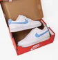 Кросівки жіночі Nike Court Vision Low Next Nature Shoes White DH3158-107