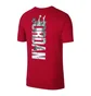 Футболка мужская Nike Rise Photo Red 895175-687