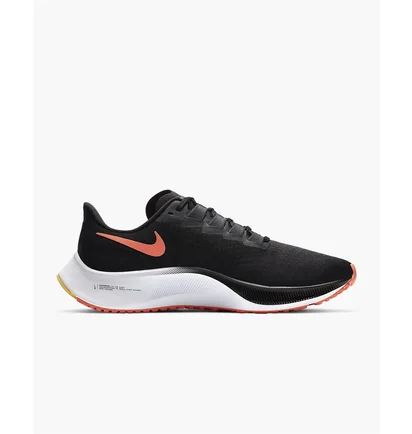 Кроссовки мужские Nike Mens Road Running Shoes Black BQ9646-010