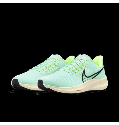 Кроссовки мужские Nike Air Zoom Pegasus 39 Light Blue Dh4071-301