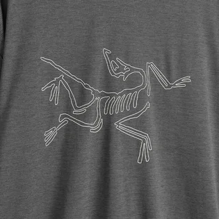 Лонгслів чоловічий Arc'teryx Cormac Logo Grey X000008452