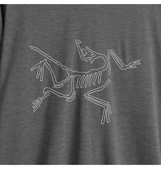 Лонгслив мужской Arc'teryx Cormac Logo Grey X000008452