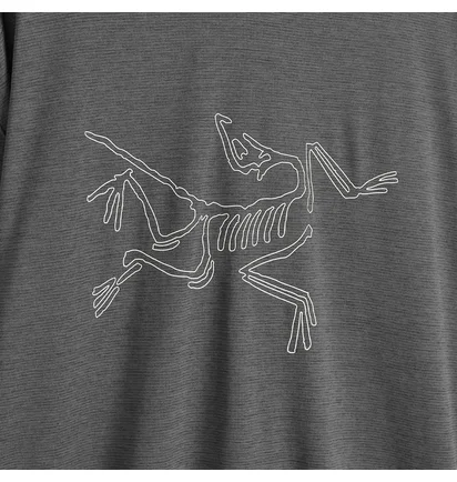 Лонгслив мужской Arc'teryx Cormac Logo Grey X000008452