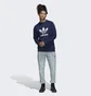 Свитшот мужской Adidas Adicolor Classics Trefoil Crewneck Sweatshirt Black Hk5294