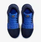 Кроссовки унисекс Nike Lebron Witness 8 Blue FB2239-403