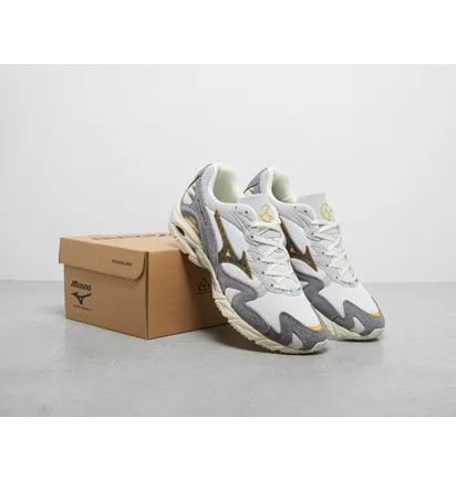 Кроссовки мужские Mizuno Wave Rider 10 Grey D1GA232101