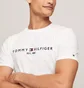 Футболка чоловіча Tommy Hilfiger Est. 1985 White 78J6318-P8F-WHITE