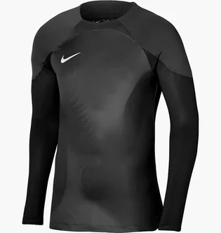 Лонгслив мужской Nike Long-Sleeve Jersey Dri-Fit Adv Gardien 4 Goalkeeper Ls Black DH7967-060