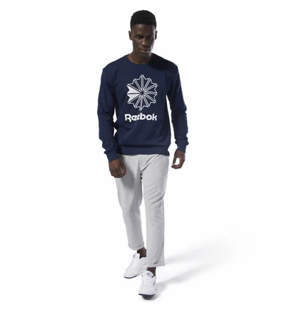 Свитшот мужской Reebok Classic Big Iconic Crewneck Sweatshirt Blue DT8121