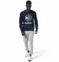 Свитшот мужской Reebok Classic Big Iconic Crewneck Sweatshirt Blue DT8121