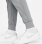 Штаны мужские Air Jordan 1 Df Sprt Stmt Flc Pant Grey Dj0873-091