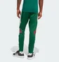 Штаны мужские Adidas House Of Tiro Nations Green JN2574