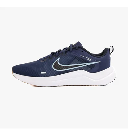 Кроссовки мужские Nike Downshifter 12 Blue Dd9293-400